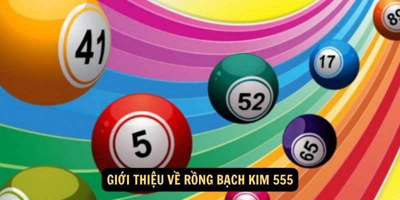 Giới thiệu về Rồng Bạch Kim 555