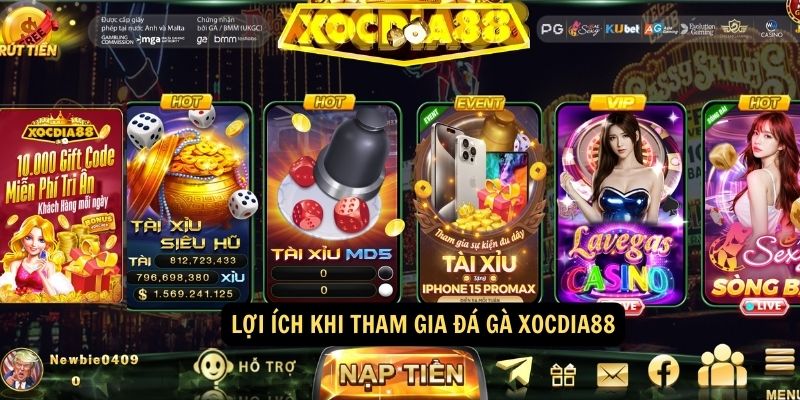 Lợi ích khi tham gia Đá Gà xocdia88